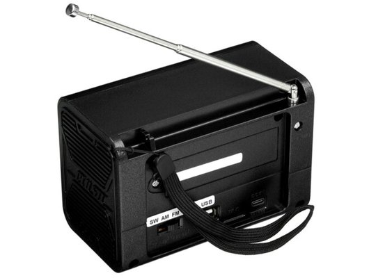 Радиоприемник Ritmix RPR-020