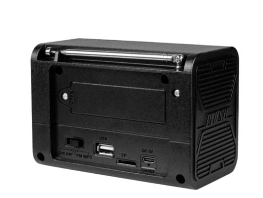 Радиоприемник Ritmix RPR-020