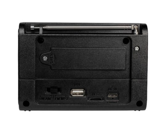 Радиоприемник Ritmix RPR-020