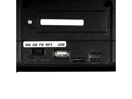 Радиоприемник Ritmix RPR-020