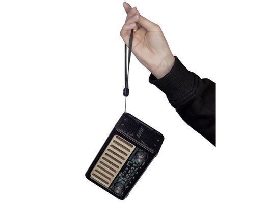 Радиоприемник Ritmix RPR-020