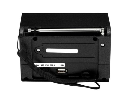 Радиоприемник Ritmix RPR-020