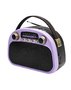 Радиоприемник Ritmix RPR-040 Лавандовый