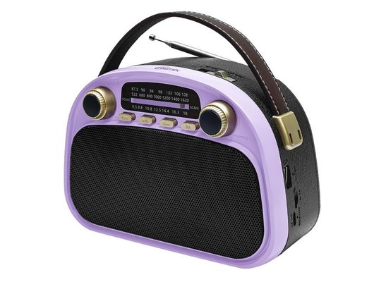Радиоприемник Ritmix RPR-040 Лавандовый