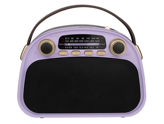 Радиоприемник Ritmix RPR-040 Лавандовый