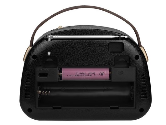 Радиоприемник Ritmix RPR-040 Лавандовый