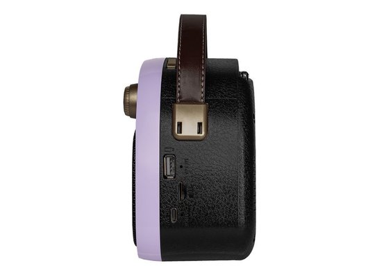 Радиоприемник Ritmix RPR-040 Лавандовый