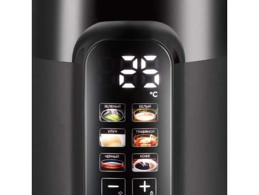 Чайник электрический REDMOND KG225 черный