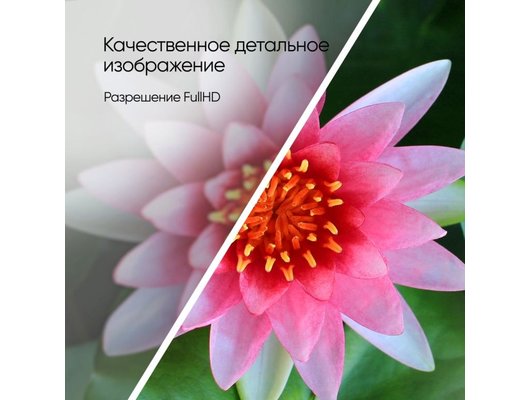 Smart телевизор TOPDEVICE TDTV42BS04F_BK