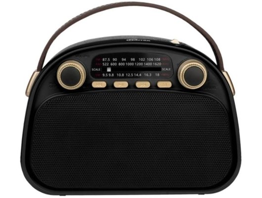 Радиоприемник Ritmix RPR-040 Черный