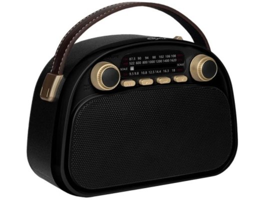 Радиоприемник Ritmix RPR-040 Черный