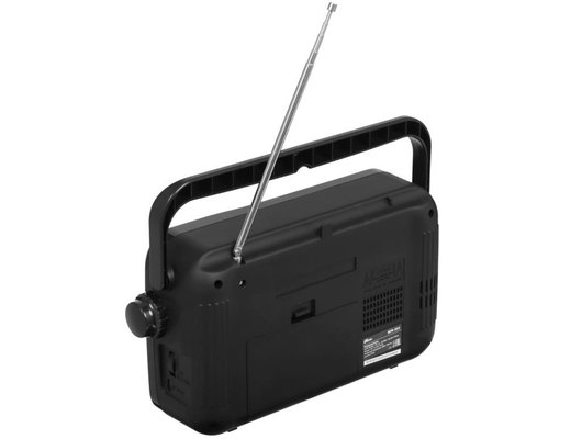 Радиоприемник Ritmix RPR-303