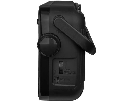 Радиоприемник Ritmix RPR-303