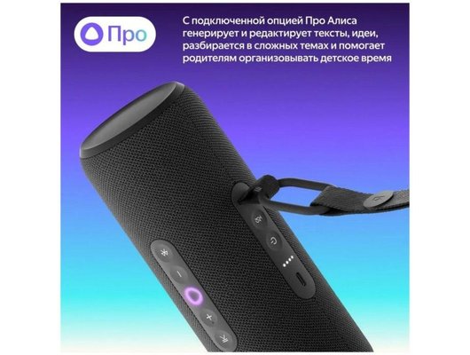 Умная колонка ЯНДЕКС СТАНЦИЯ СТРИТ YNDX-00030BLK (ЧЕРНЫЙ)