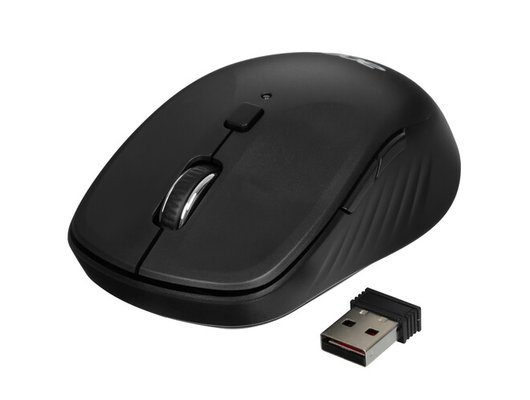 Мышь беспроводная Acer OMR300 черный (ZL.MCECC.01R)