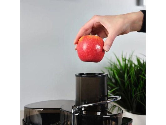 Соковыжималка Scarlett SC-JE50S49