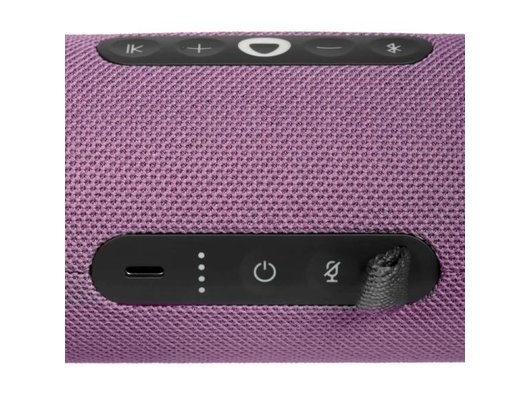 Умная колонка ЯНДЕКС СТАНЦИЯ СТРИТ YNDX-00030VIO (фиолетовый)