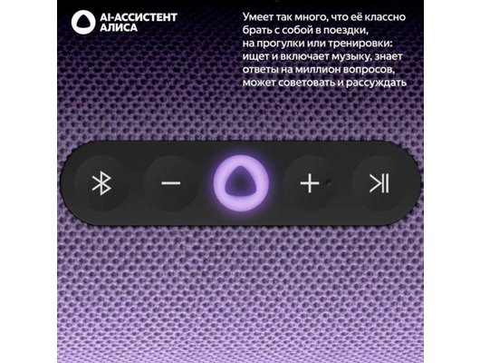 Умная колонка ЯНДЕКС СТАНЦИЯ СТРИТ YNDX-00030VIO (фиолетовый)