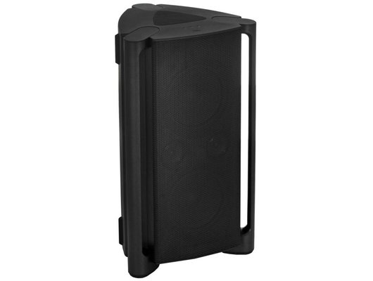 Музыкальный центр TCL TP300K