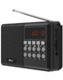 Радиоприемник Ritmix RPR-001