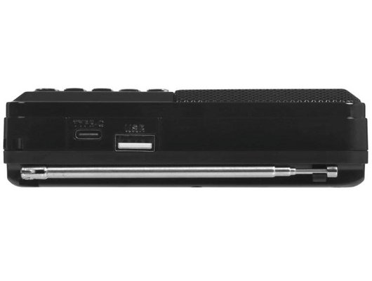 Радиоприемник Ritmix RPR-001