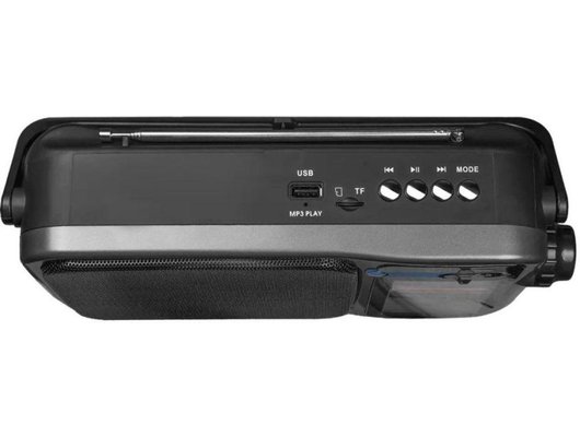 Радиоприемник Ritmix RPR-320