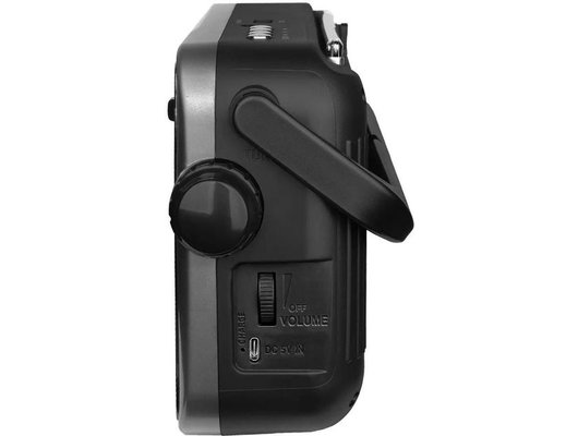 Радиоприемник Ritmix RPR-320