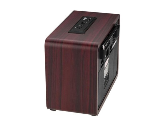Радиоприемник Ritmix RPR-089 Темное дерево