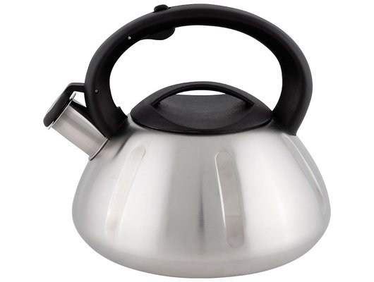 Чайник металлический MALLONY MAL-066 3 л. 910086 матовый