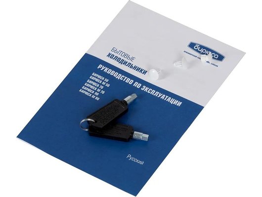 Холодильник БИРЮСА 50