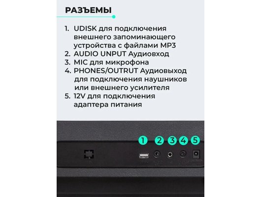 Музыкальный инструмент AIWA ASZ-613