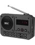 Радиоприемник Ritmix RPR-010