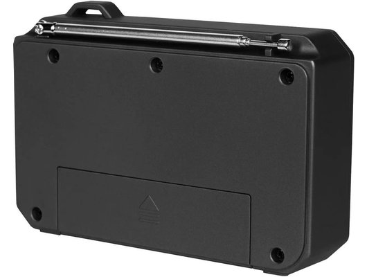 Радиоприемник Ritmix RPR-010