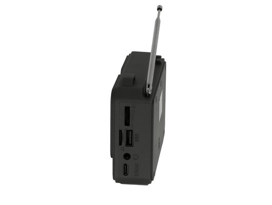 Радиоприемник Ritmix RPR-010