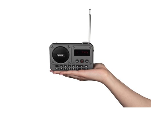 Радиоприемник Ritmix RPR-010