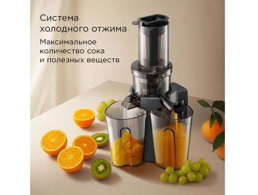 Шнековая соковыжималка РЕДМОНД J1405 серый