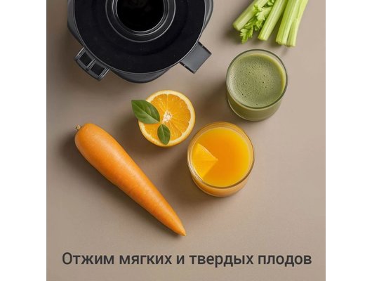 Шнековая соковыжималка РЕДМОНД J1408 черный/сталь
