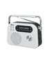 Радиоприемник Ritmix RPR-045 Белый