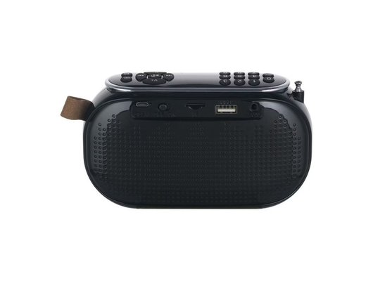 Радиоприемник Ritmix RPR-008 Черный