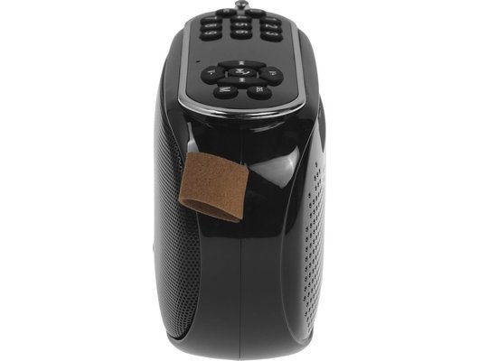 Радиоприемник Ritmix RPR-008 Черный