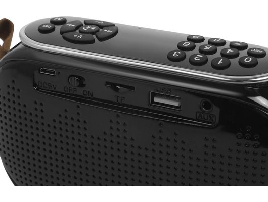 Радиоприемник Ritmix RPR-008 Черный