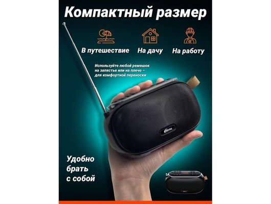 Радиоприемник Ritmix RPR-008 Черный