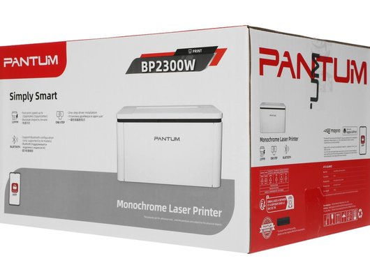 Принтер Pantum BP2300W