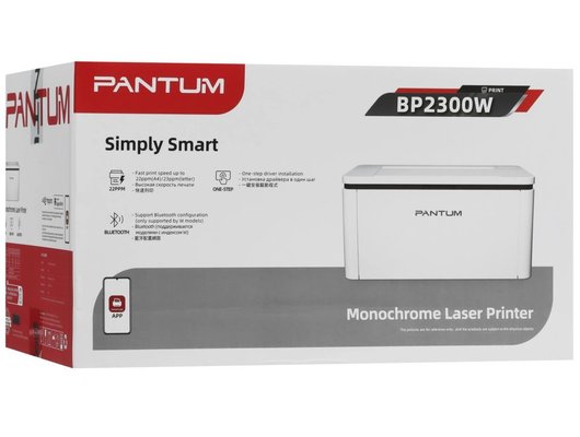 Принтер Pantum BP2300W