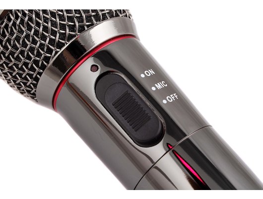 Микрофон Ritmix RWM-101 black