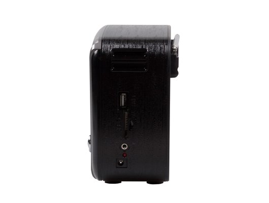 Радиоприемник Ritmix RPR-065