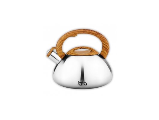 Чайник металлический LARA LR00-71 3л