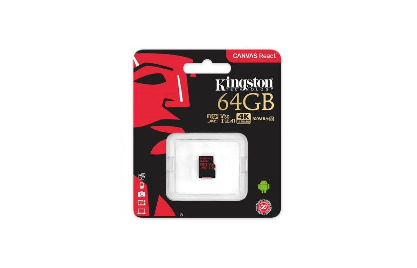 Карта памяти sdxc kingston canvas go plus 256 гб sdg3 256gb