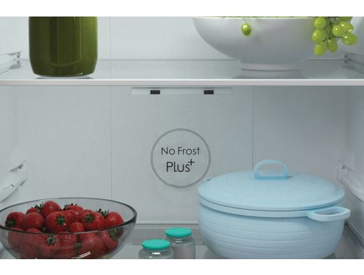 Холодильник CANDY CCRN 6180 W