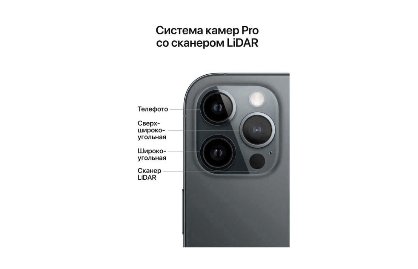 Смартфон Apple iPhone 12 Pro Max 256GB graphite MGDC3RU/A - купить в  интернет-магазине RBT.ru. Цены, отзывы, характеристики и доставка в  Челябинске